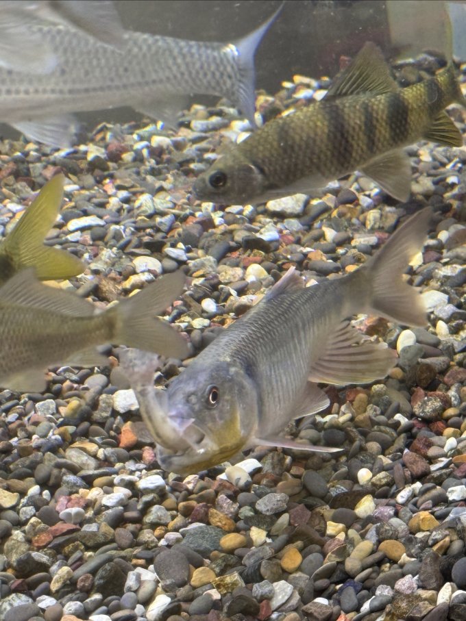 森森其他水族配件
