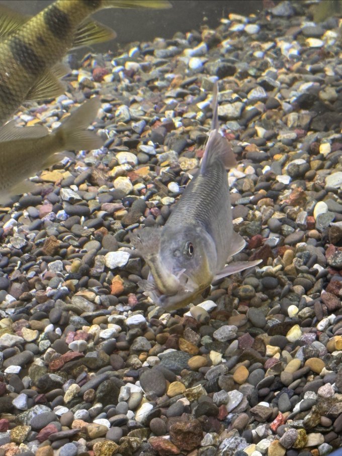 森森其他水族配件