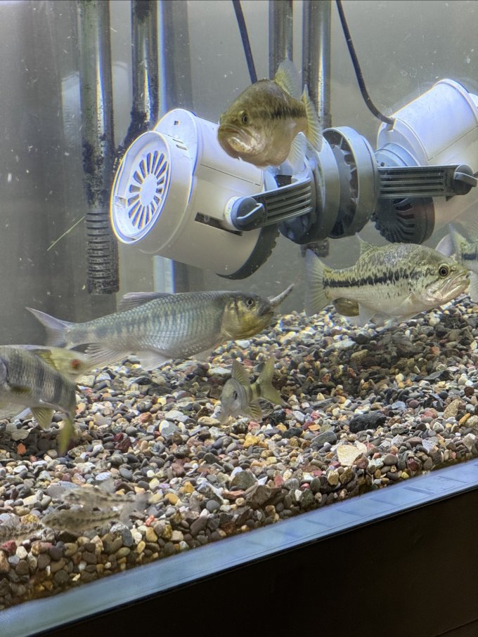 森森其他水族配件