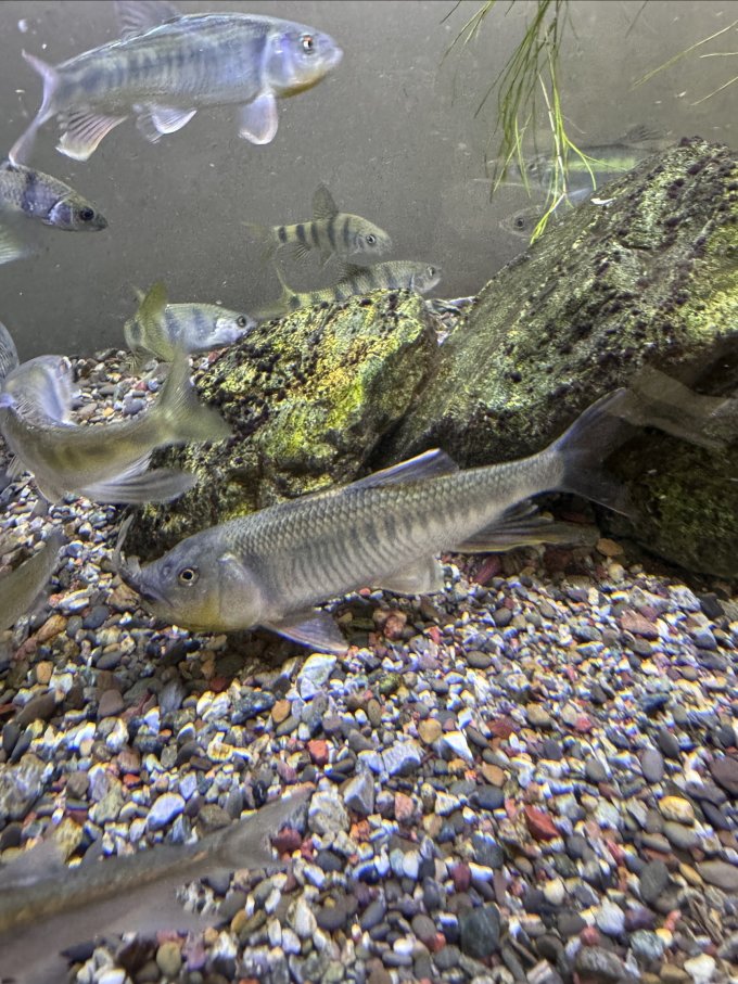 森森其他水族配件