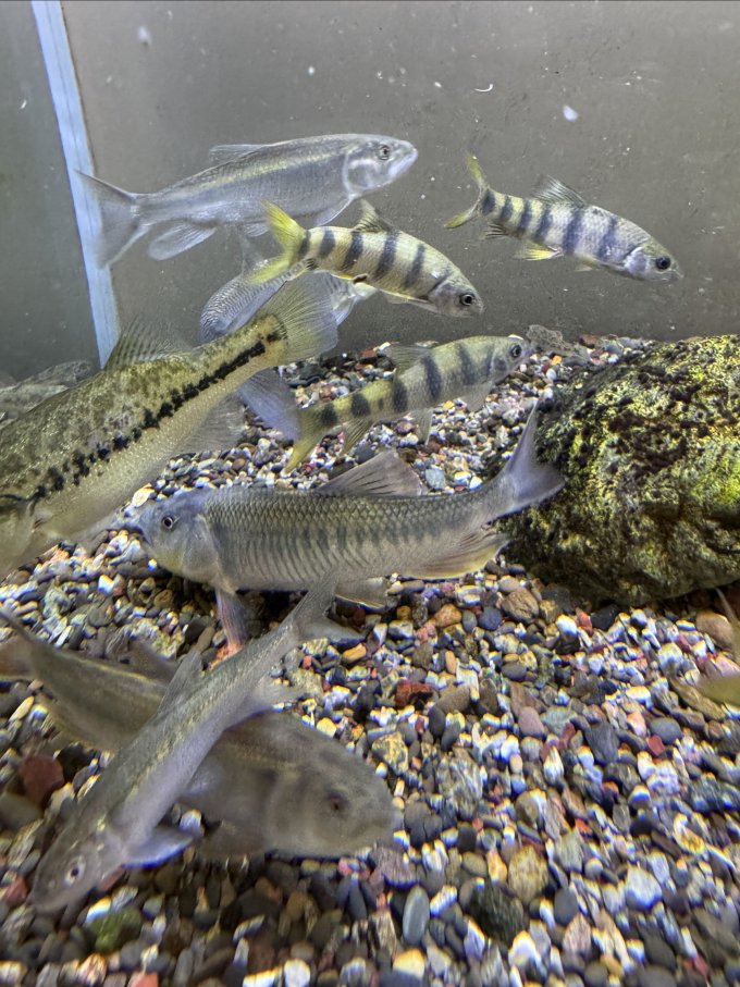 森森其他水族配件
