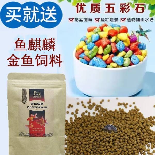 鱼麒麟玻璃鱼缸：家庭装饰的精致之选