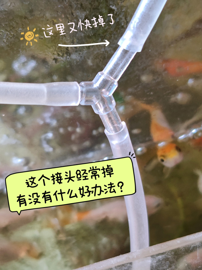 意牌增氧设备