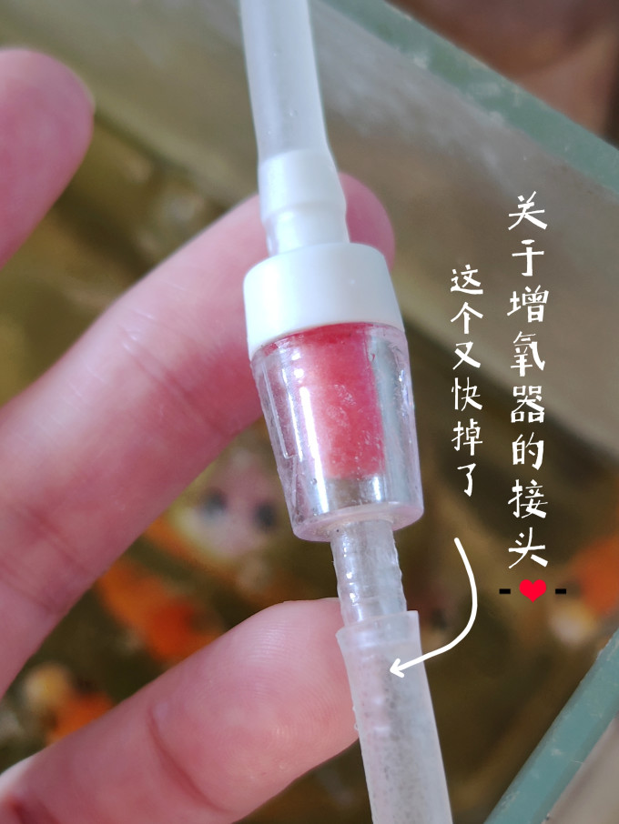 意牌增氧设备