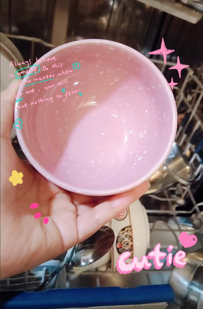 亮碟洗碗机清洁剂/洗碗块
