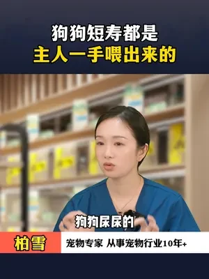狗狗活不久都是主人一手喂出来的