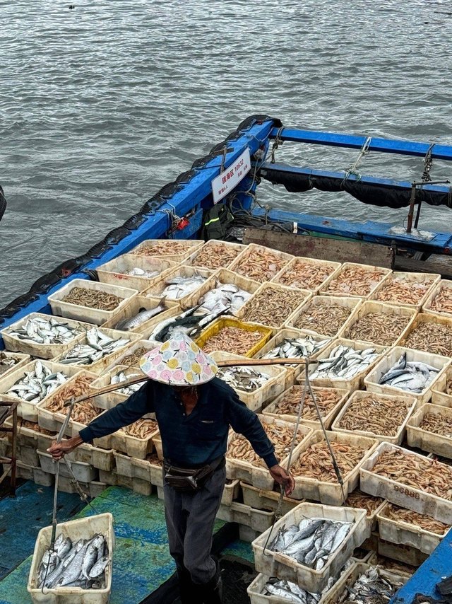 广西开海了