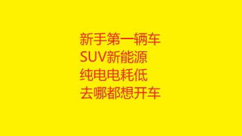 纯电新能源SUV 大空间 新手第一辆车 电耗低 去哪儿都想开车去