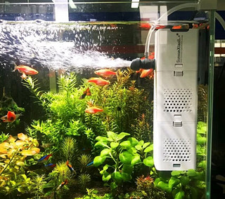 森森 小鲤过滤器XQP-500F款6W 适合长60cm内鱼缸 内置过滤棉气量可调 