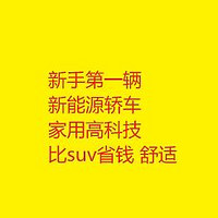 新手第一辆新能源轿车 家用必备神器 高科技 比suv省钱 舒适 比亚迪秦L DMI 2024款 80KM领先型