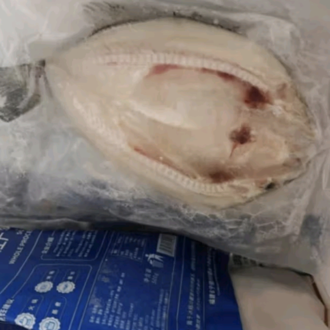 卖鱼郎先生鱼类