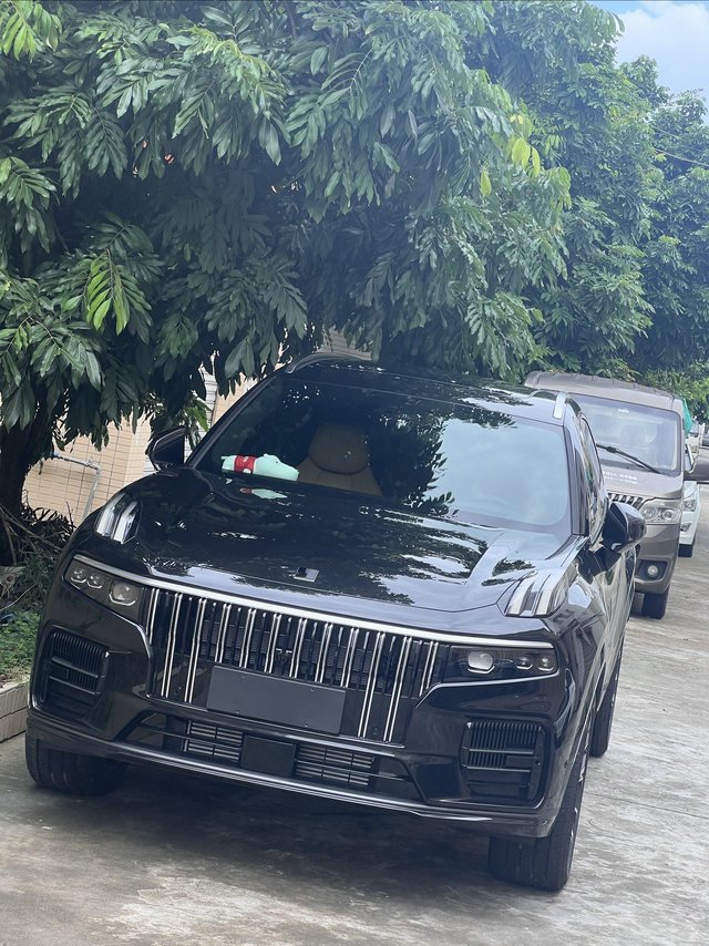 喜提新车，领克09全球版买了才知道