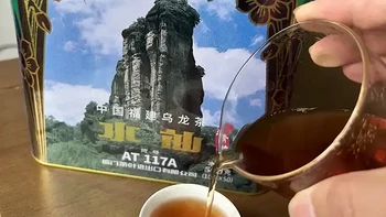 中茶海堤一级水仙茶闽北乌龙茶武夷岩茶绿罐水仙品鉴