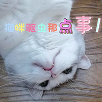 猫咪驱虫那点儿事！