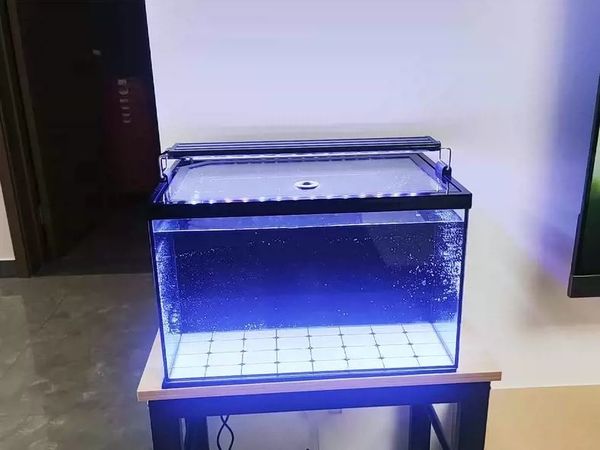 超白背滤鱼缸小型客厅