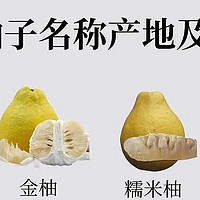 常见柚子品种说明书，你吃过几种？