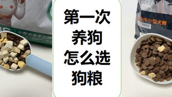 第一次养狗丨狗粮怎么选？8年铲屎官的选粮标准+如何看狗粮配方