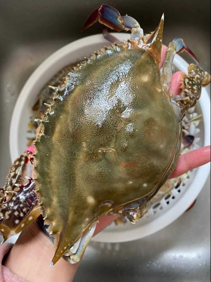 至鲜蟹类