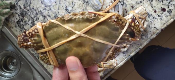 至鲜蟹类