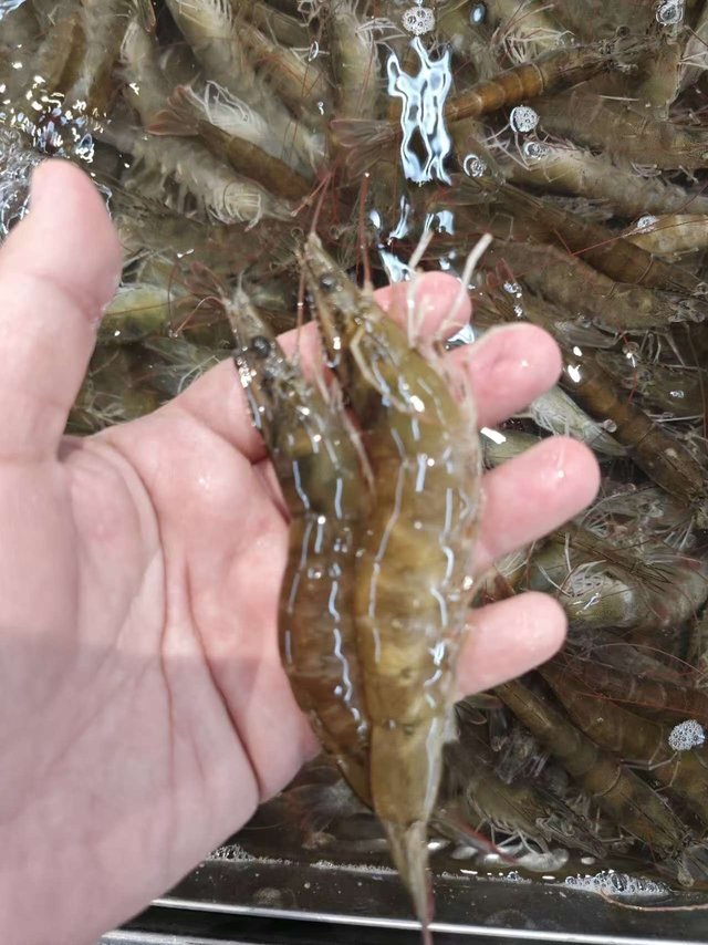 推荐5种大虾的做法