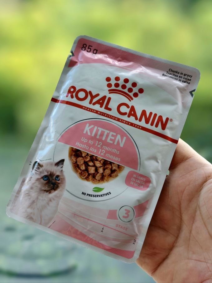 猫咪湿粮/罐头
