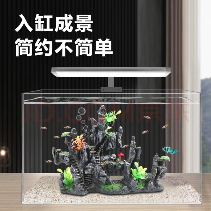 萌嘟星宠其他装饰