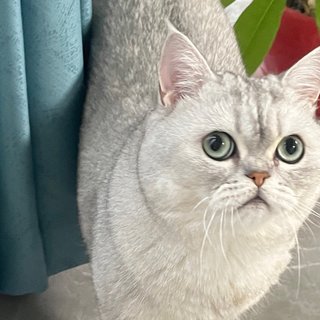 新家入住怎么能少了绿植🙀！