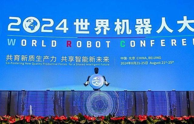 智能新未来：2024世界机器人大会全景解析