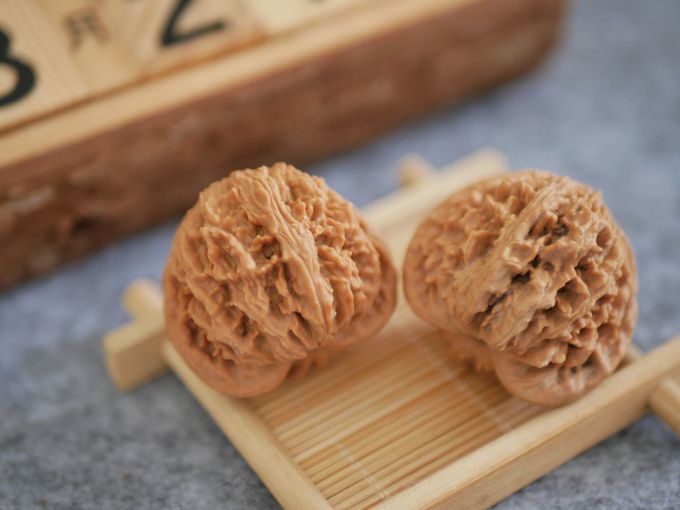 雍和金兽木手串/把件