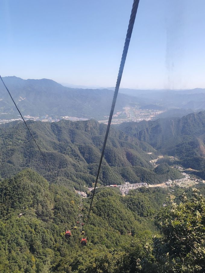 鲜驰虾类