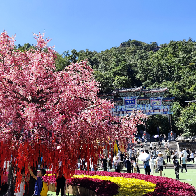 鲜驰虾类