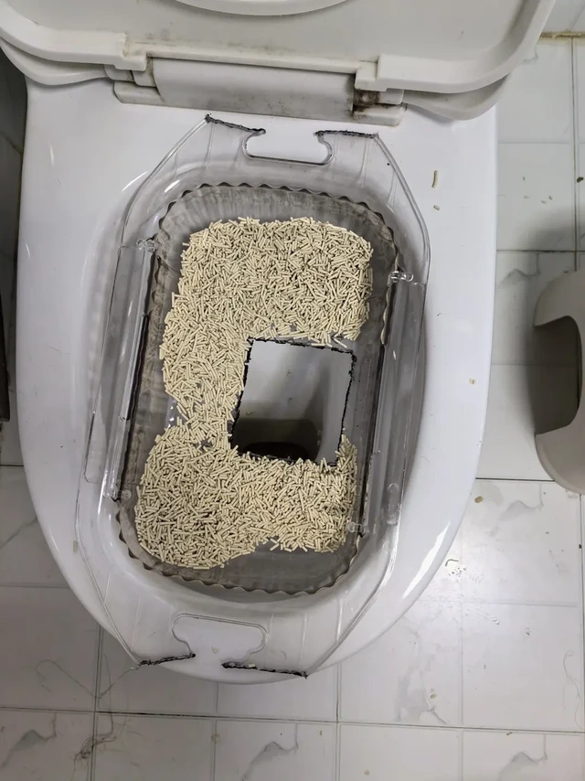 买什么训练器菜篮子不香吗