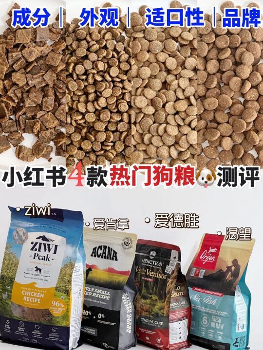 养狗必 备｜狗 粮从哪些角度开始选