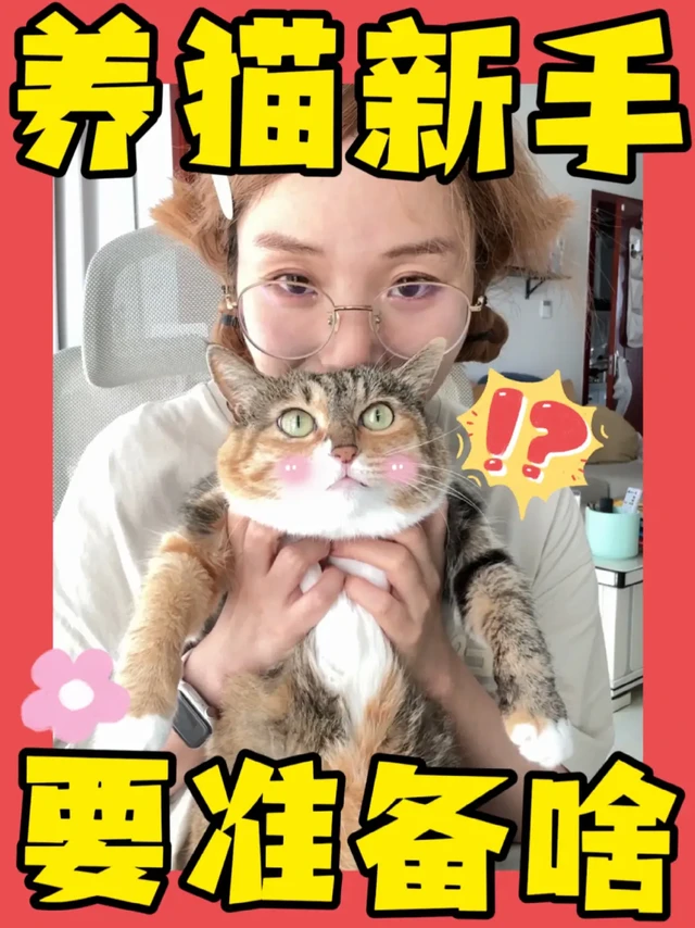 不花冤枉钱！新手养猫该买啥！