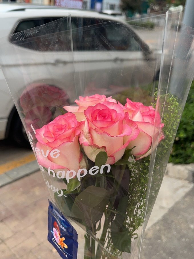 鲜花绿植
