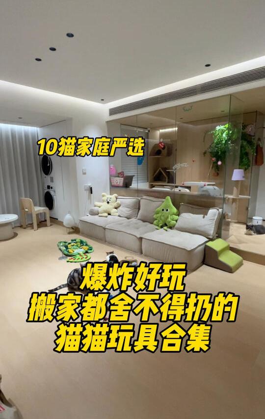 10猫亲测6年！玩不腻的猫猫玩具合集🤗