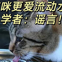 猫更爱喝流动水？半个谣言！