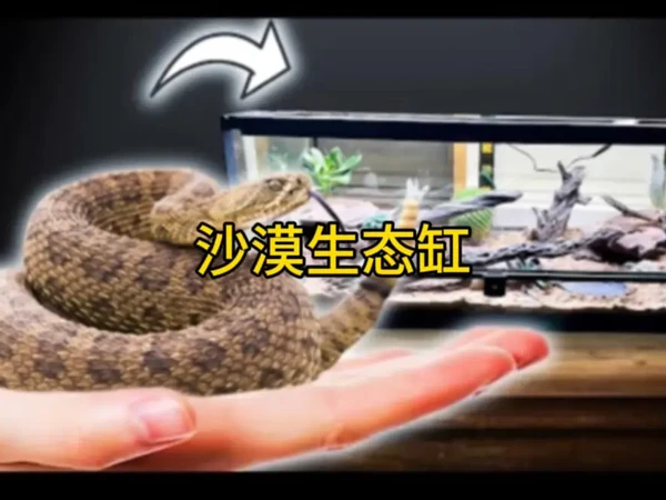 欢迎收看