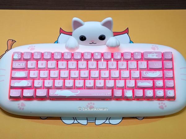 猫奴萌妹看过来：X-Bows猫咪硅胶机械键盘上手，玩转个性客制化