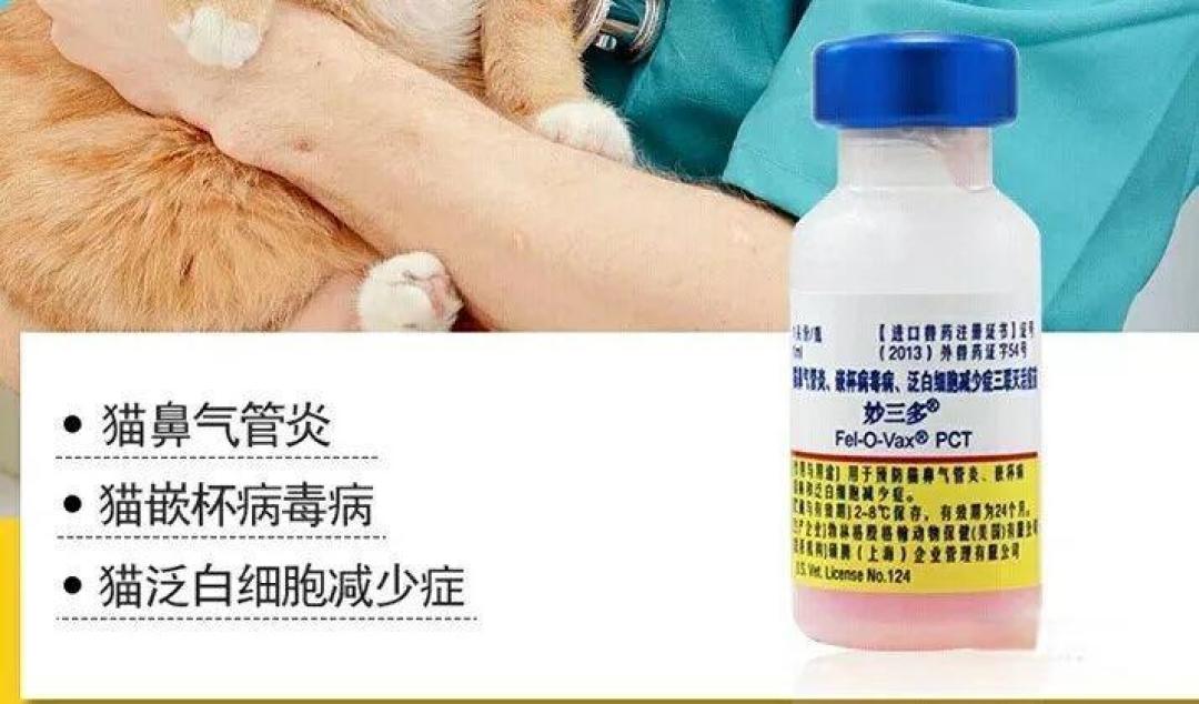 犬猫疫苗注射的必要性总结