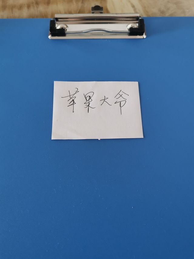 奉小草大人旨意评价：Kingdee 金蝶 A4书写板夹 蓝色 1个