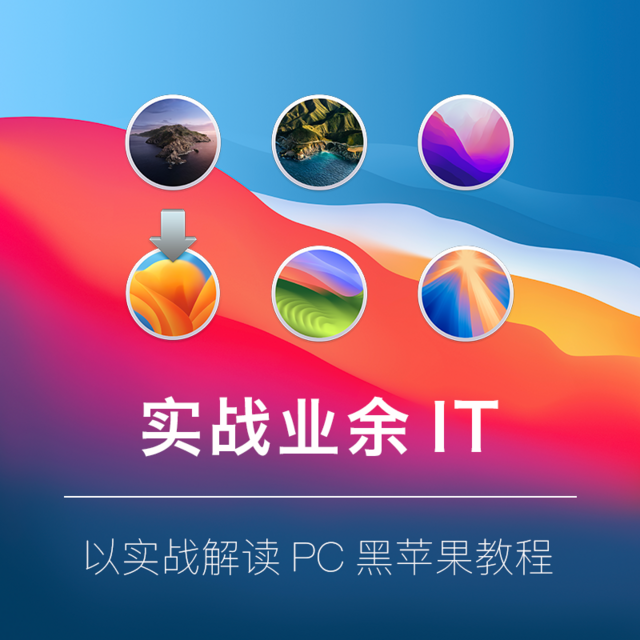 【实战业余IT】让你的PC吃上黑苹果（四）