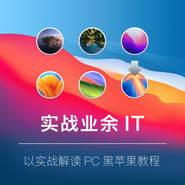 【实战业余IT】让你的PC吃上黑苹果（六）