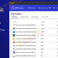 WP Statistics网站访客数据追踪统计分析插件下载