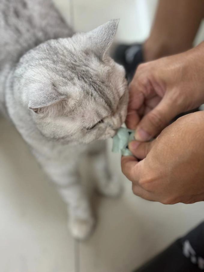 京东京造猫咪肉质零食