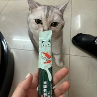 原来零食猫条和主食猫条真的不一样