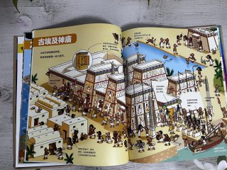 最近读到令我震撼的绘本：人类简史（绘本版）