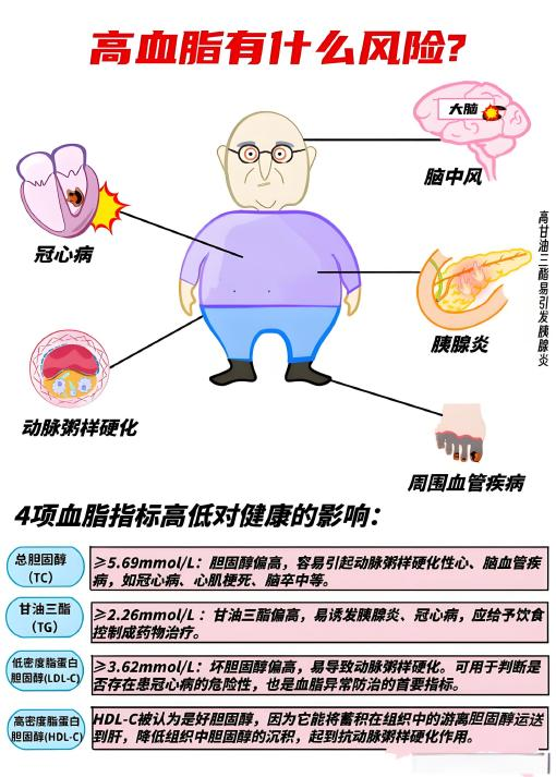 体检报告难懂？快速读懂医学术语和指标！