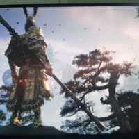 《黑悟空》VS《血狮》，再往前数20多年前的一款叫《血狮》的游戏