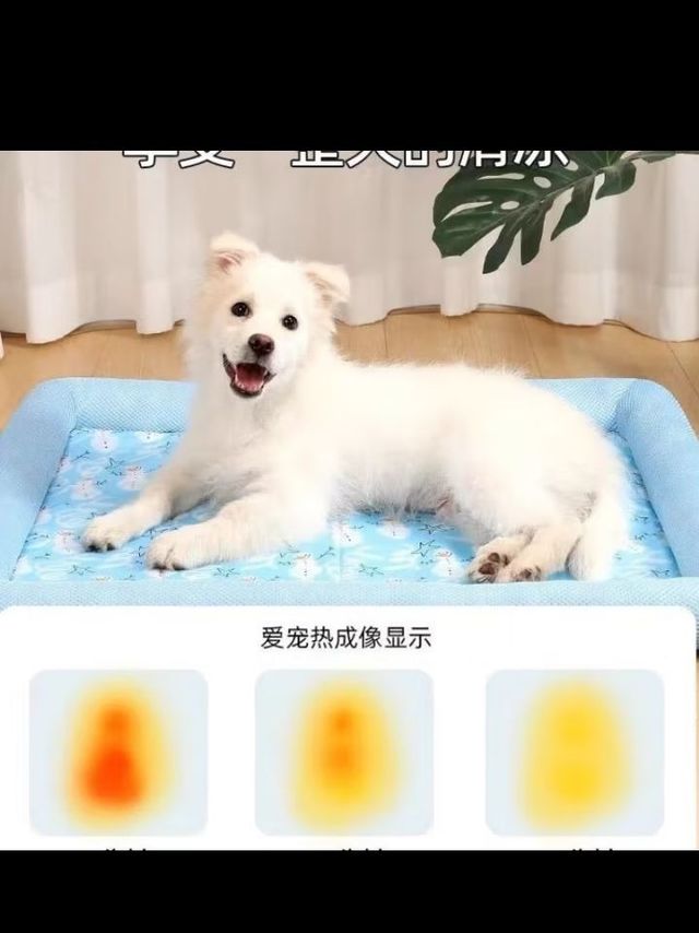珑小宠狗窝四季通用夏天凉窝小型犬猫窝耐脏可水洗夏季狗狗垫子 冰爽蓝L